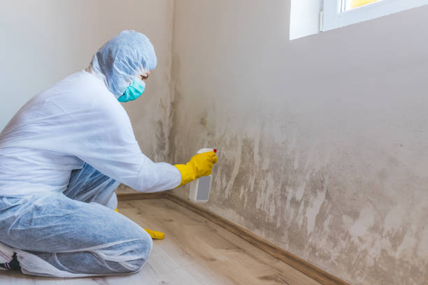 Licensed Mold Remediation service in Norwood, NJ - 24 Hour Mold Removal