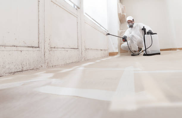 24/7 Emergency Mold Remediation experts in Norwood, NJ