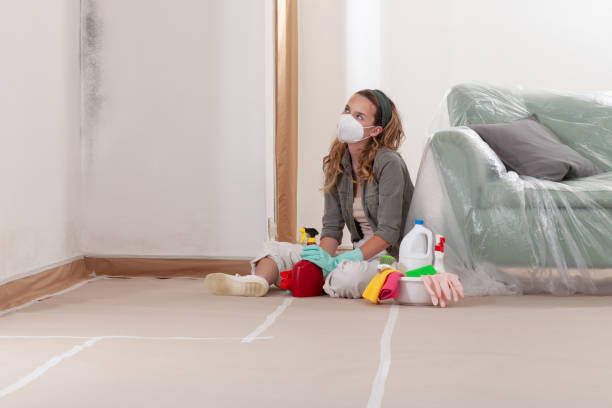 Reliable Mold Remediation contractor in Norwood, NJ by 24 Hour Mold Removal